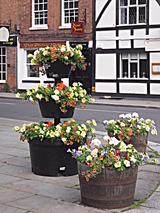 Planters in The Crescent